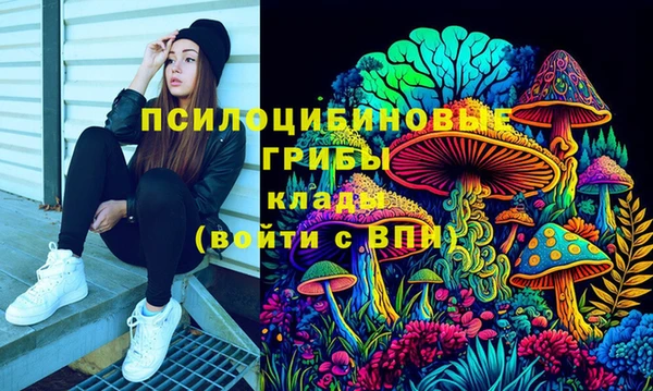 мяу мяу мука Шарыпово